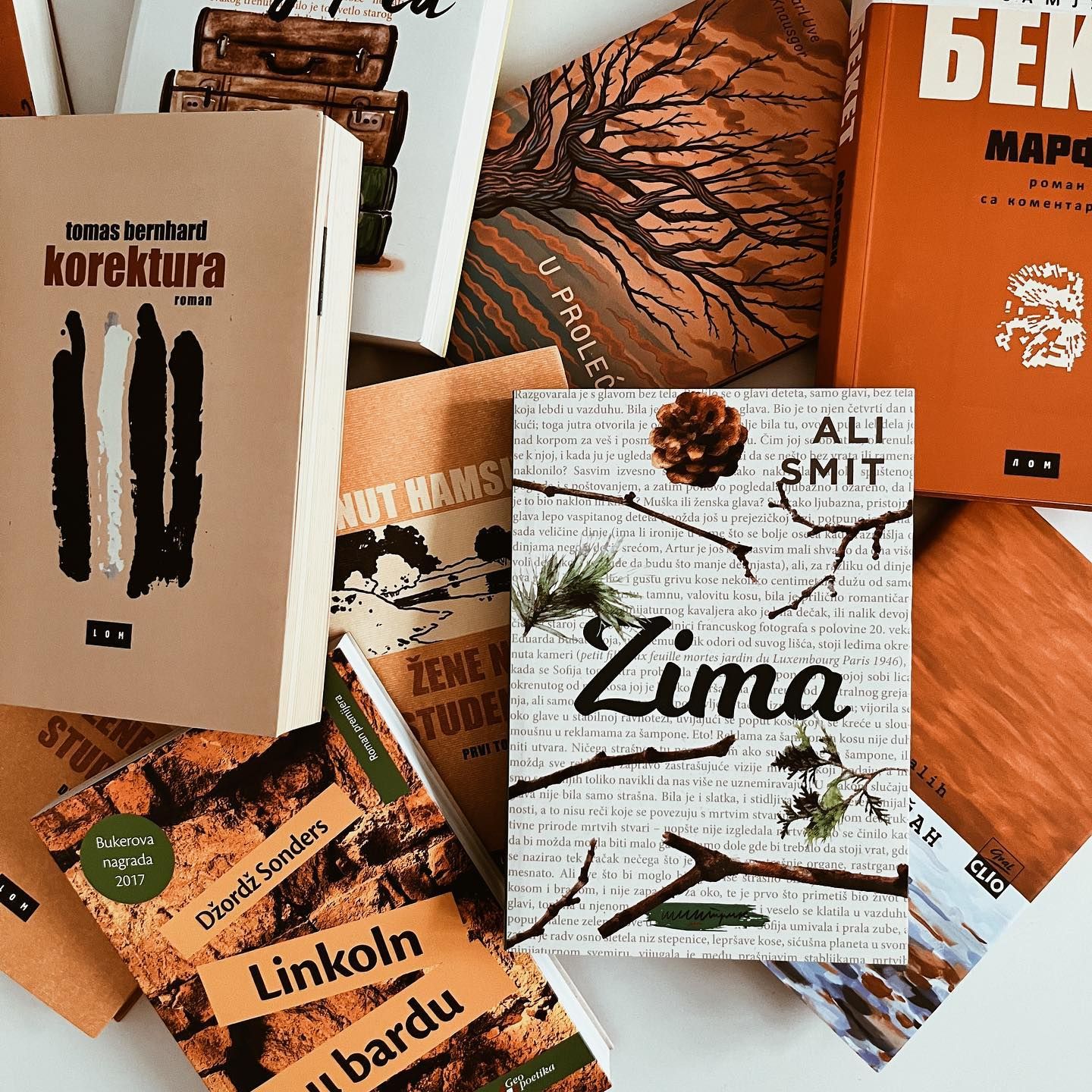 Još jedna kolekcija knjiga koje planiram da pročitam